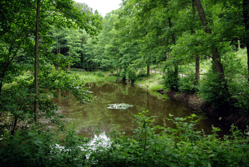 Ein Blick über den Bischofsweiher