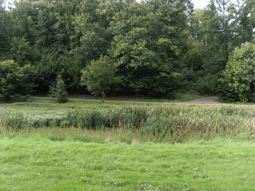 Blick auf die Forststraße "Zu den Eichen"