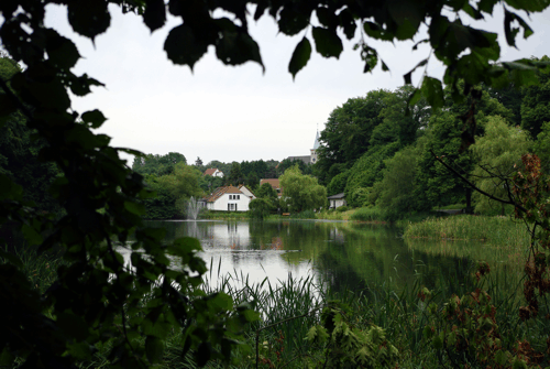 Blick über den Nikolausweiher.