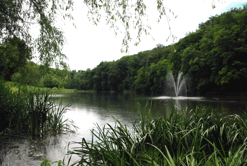 Blick über den Nikolausweiher.