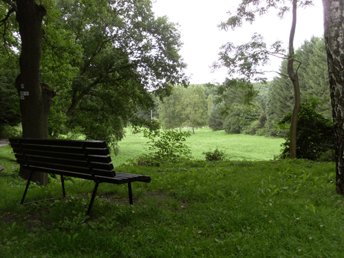 Blick auf die Forststraße "Zu den Eichen"